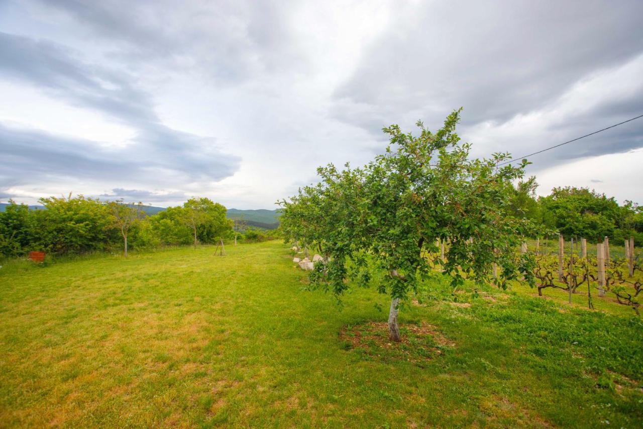 Casa Di Oliva-House With Heated Pool & Jacuzzi In Trilj, Croatia Villa Kültér fotó
