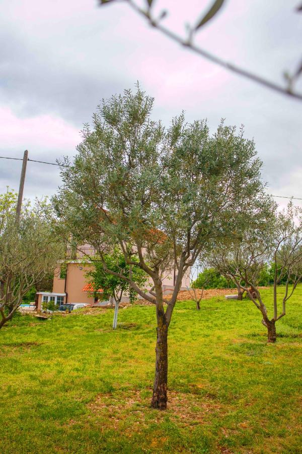 Casa Di Oliva-House With Heated Pool & Jacuzzi In Trilj, Croatia Villa Kültér fotó