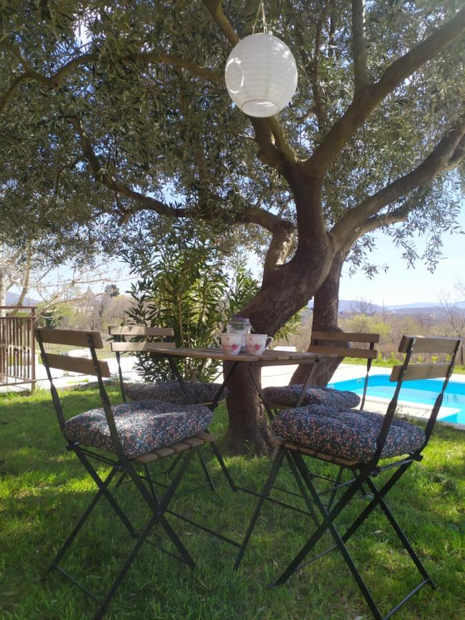 Casa Di Oliva-House With Heated Pool & Jacuzzi In Trilj, Croatia Villa Kültér fotó