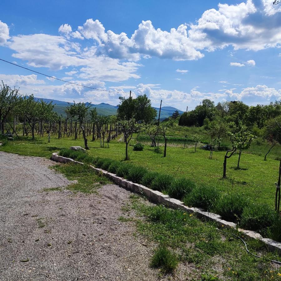 Casa Di Oliva-House With Heated Pool & Jacuzzi In Trilj, Croatia Villa Kültér fotó